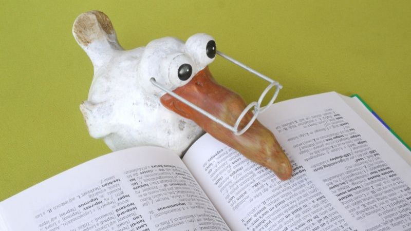 Za posudbe knjiga ne treba najava,...